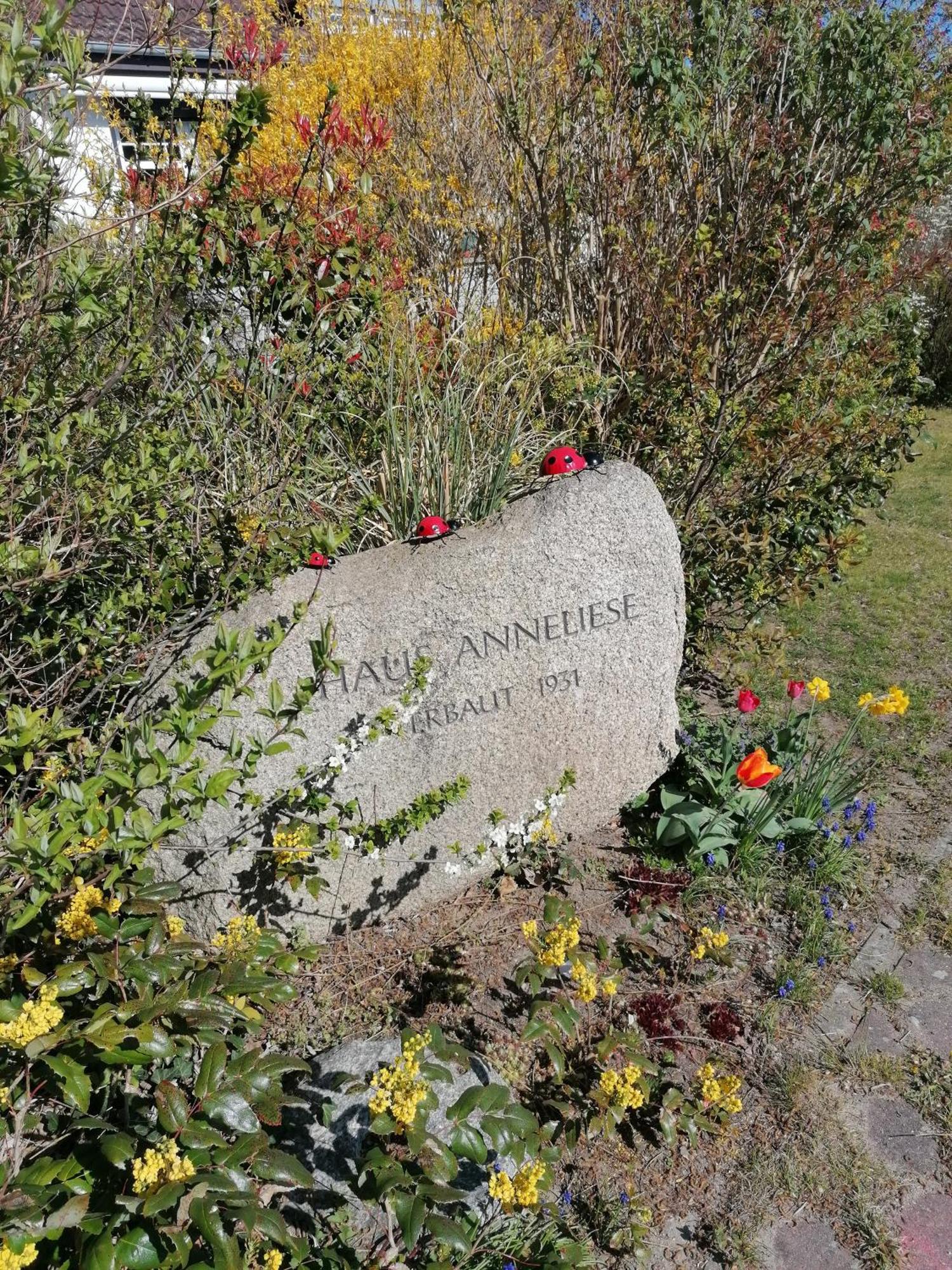 Pension Haus Anneliese Uckeritz Exterior photo